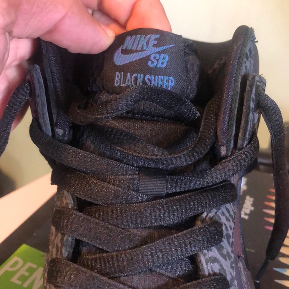 black hornets - Picture 2 of 3